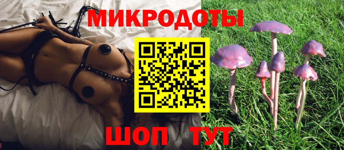 Александров  Псилоцибиновые грибы ЛСД  Псилоцибиновые грибы прущие грибы  Вход с VPN 